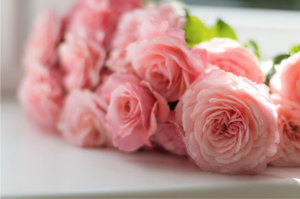5 Easy Cheap And Thoughtful Valentine S Day Gifts The Bosh Blog 5 Easy Cheap And Thoughtful Valentine S Day Gifts The Bosh Blog